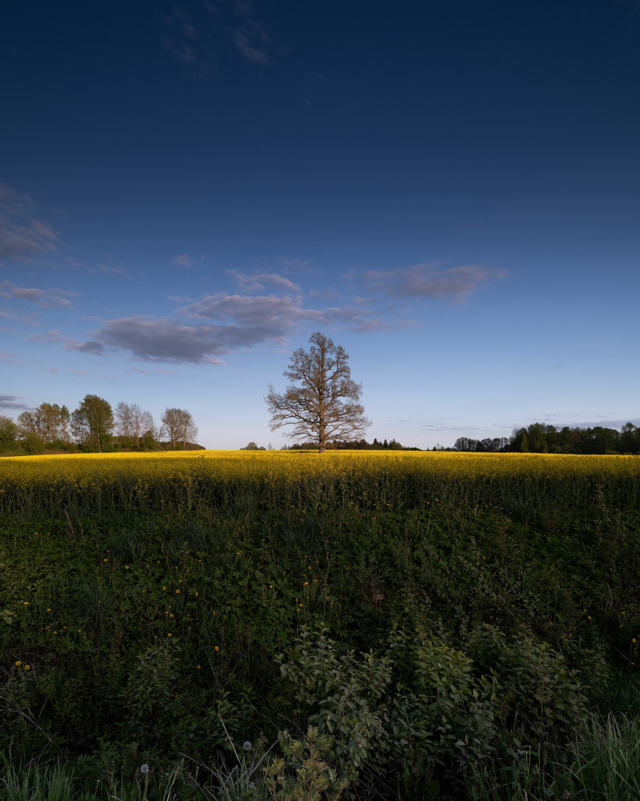 Landscapes