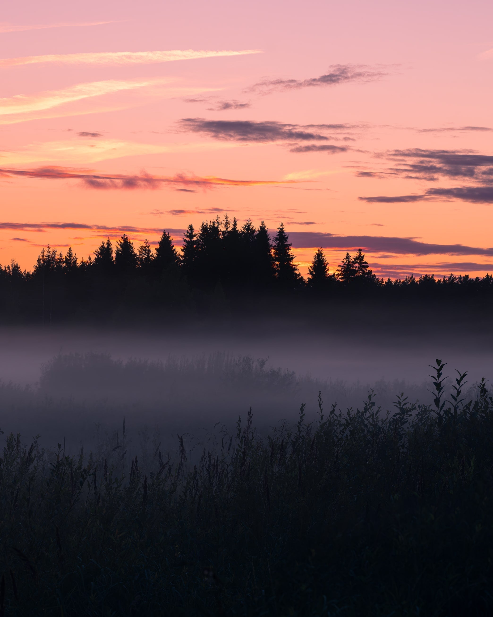 Nature