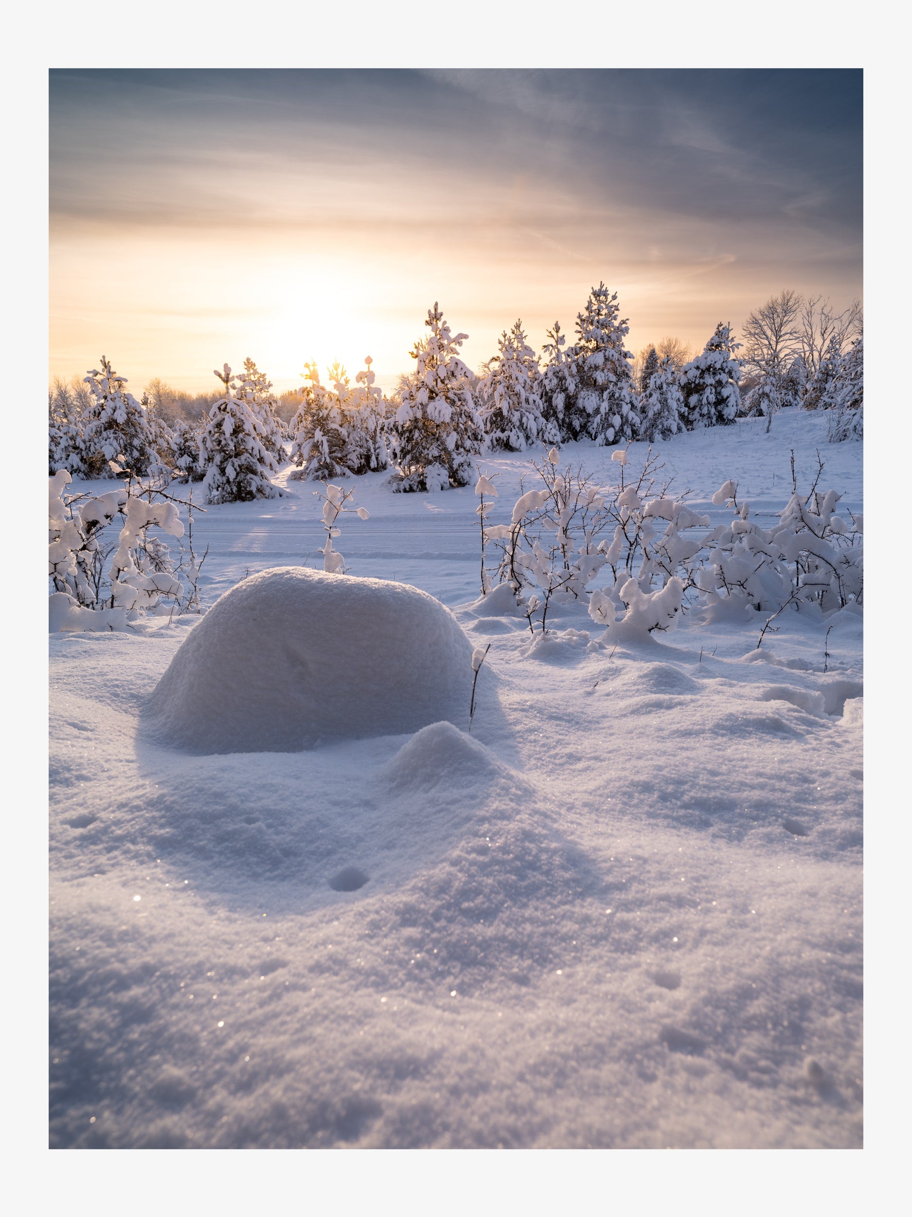 Snowy Winter Forest at Sunset