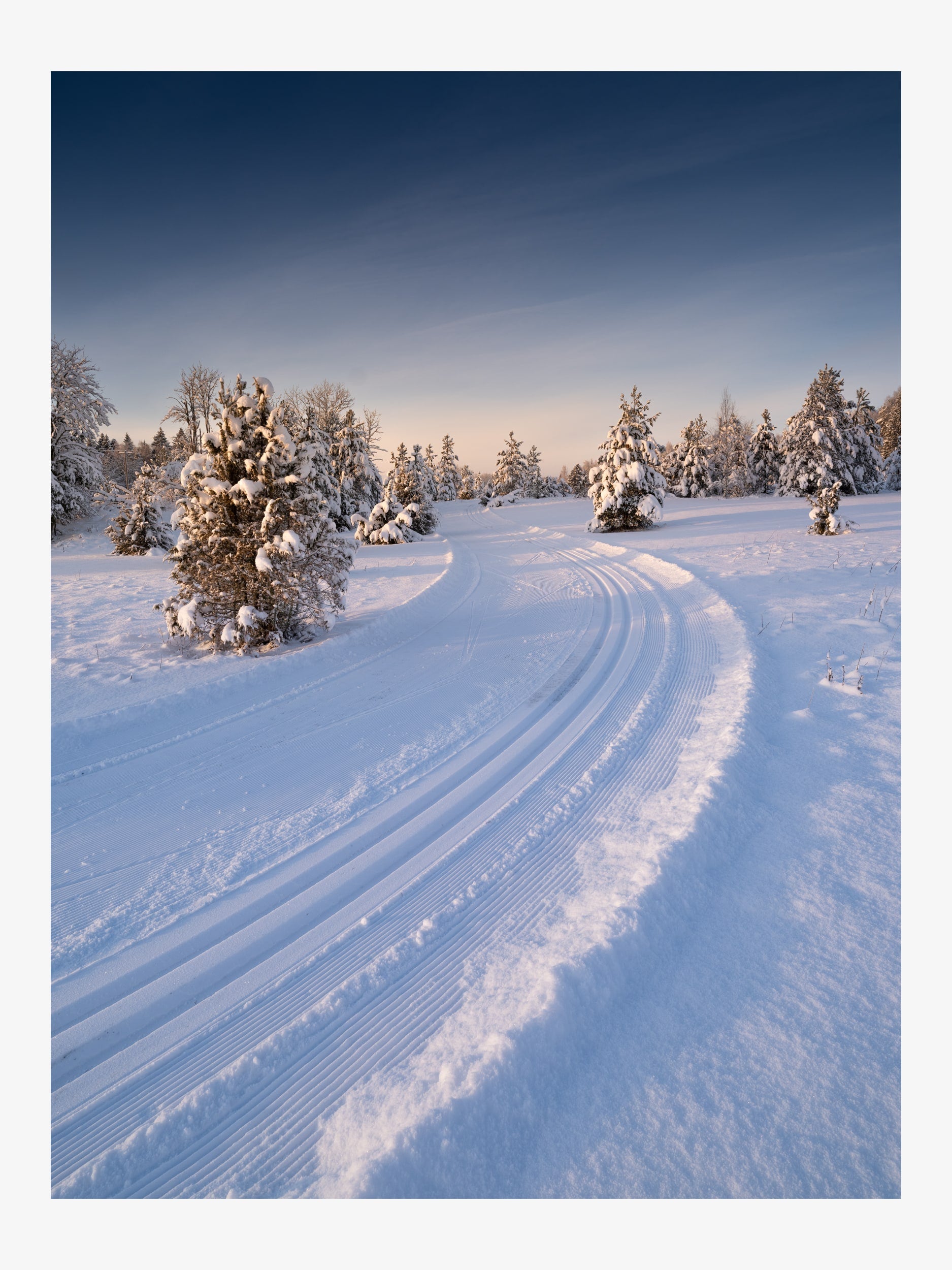 Winter Landscape with Ski Trail among Snowy Trees
