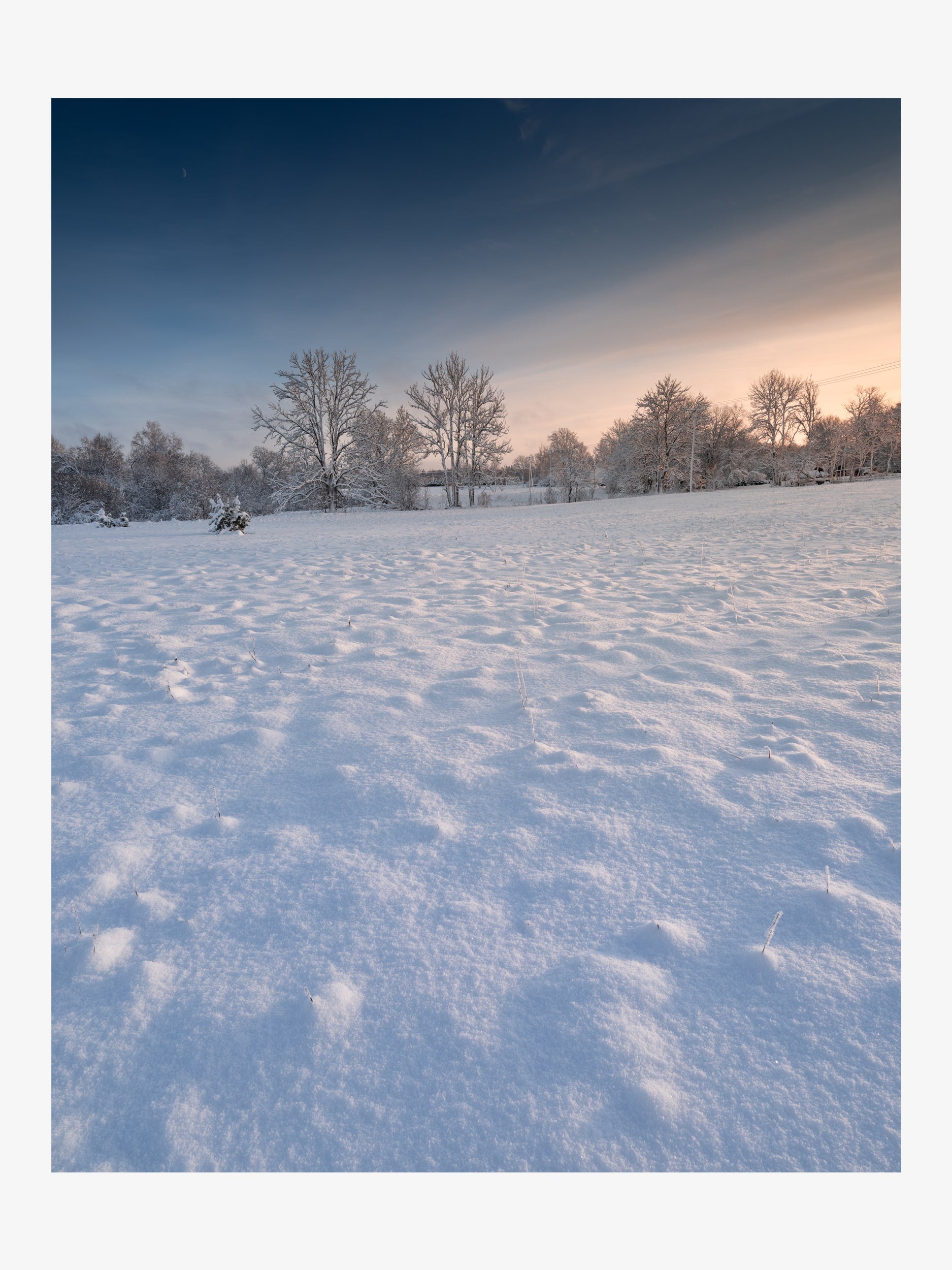 Winter Field with Snow and Trees at Sunset