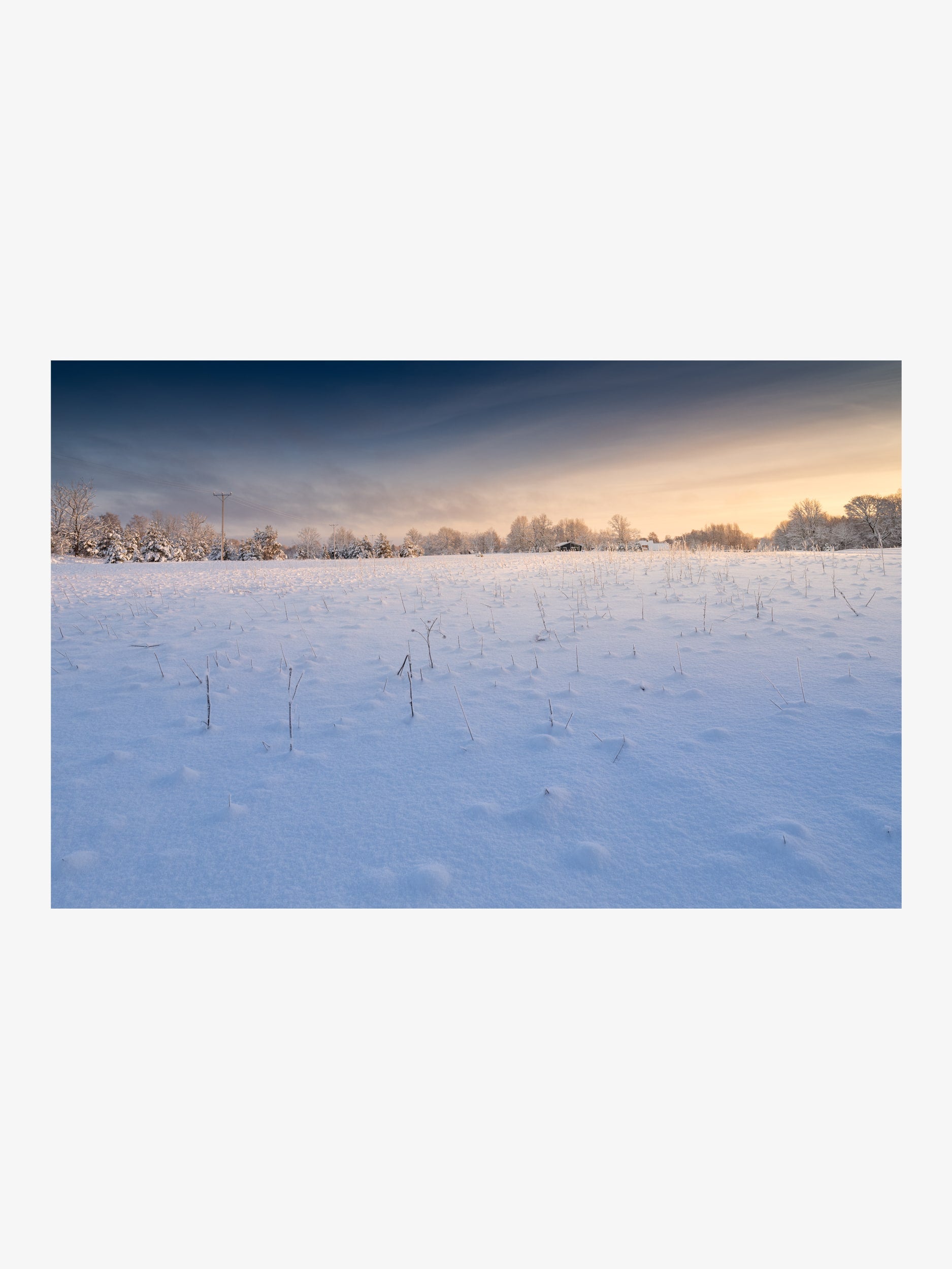 Snowy Field and Trees at Sunset on a Winter Evening