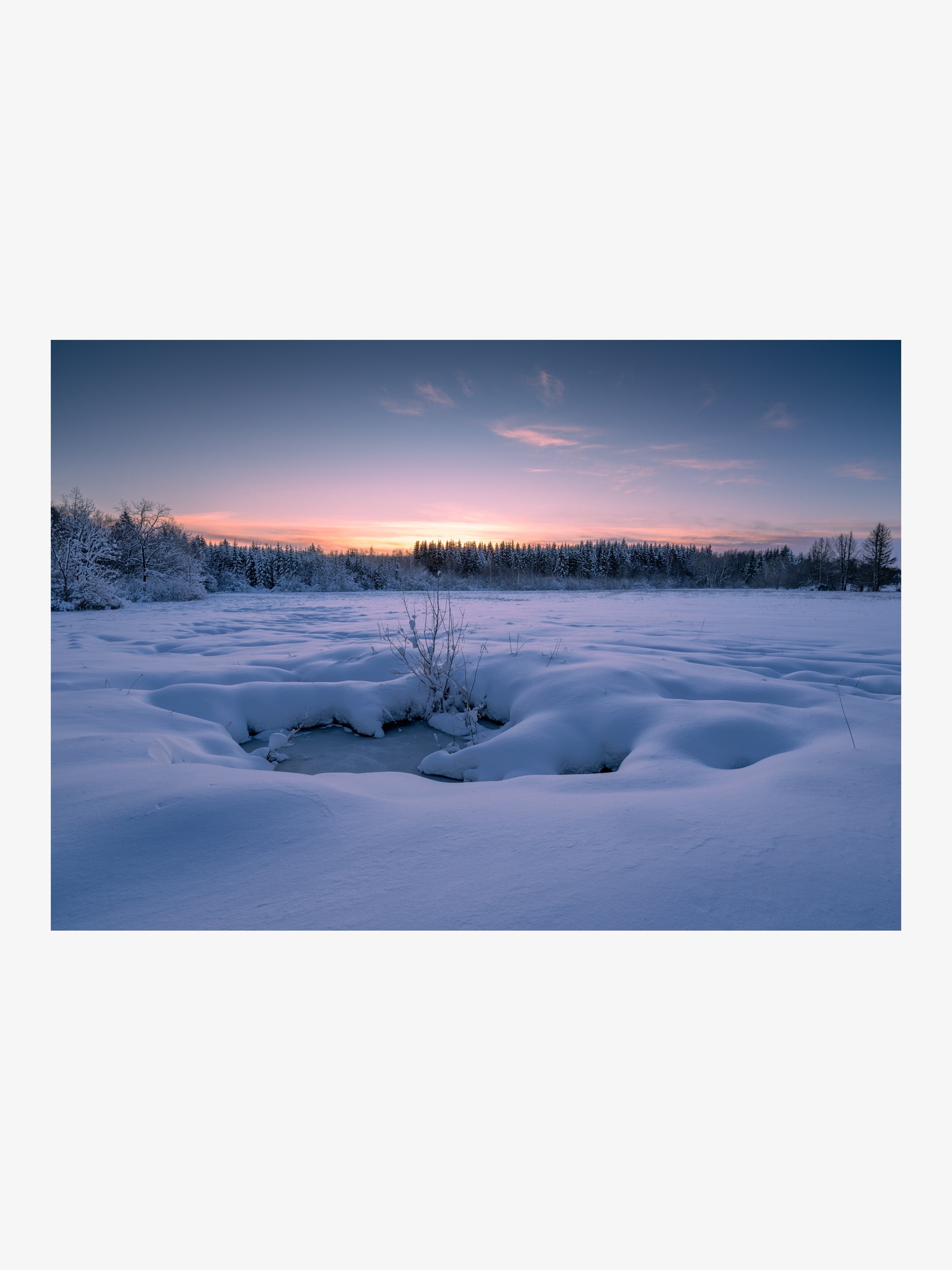 Snowy Field and Forest at Sunrise