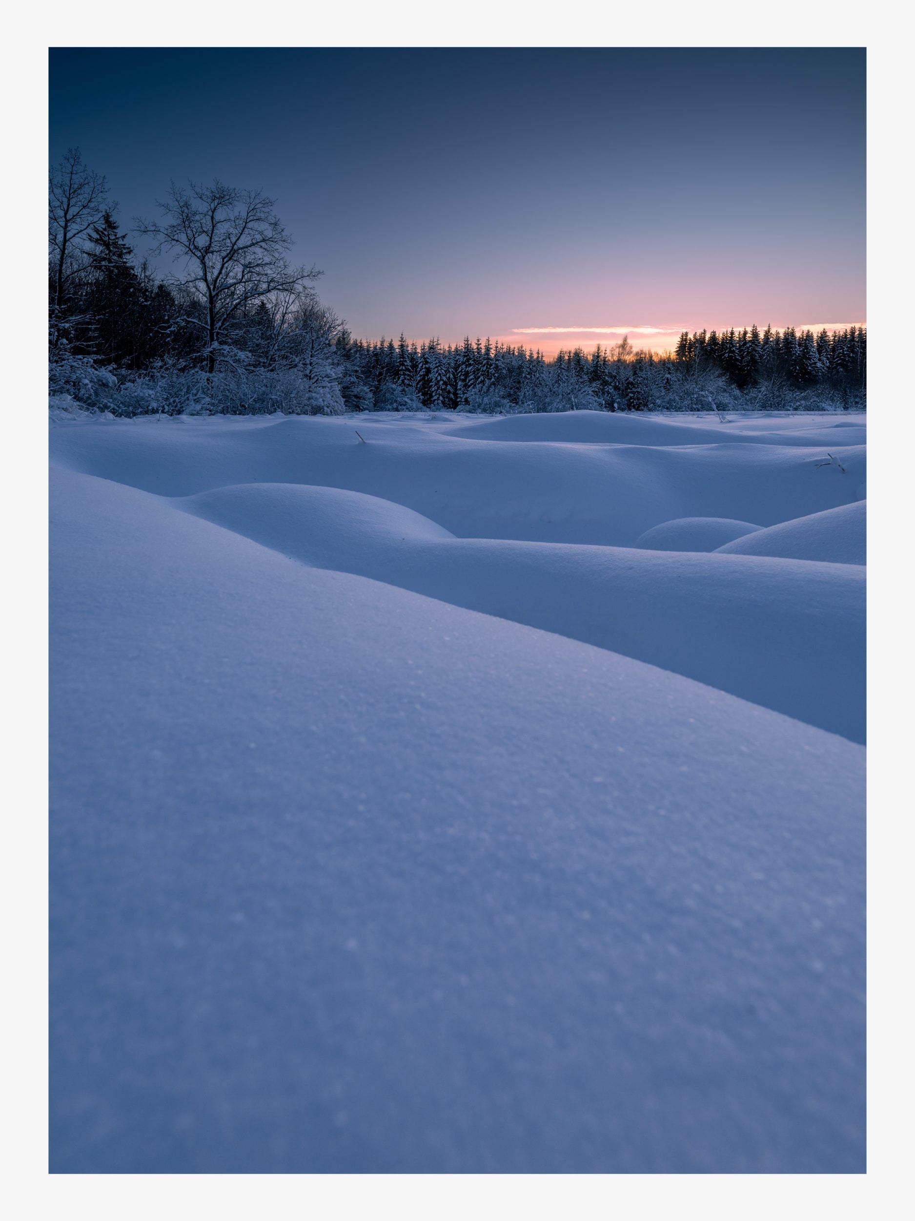 Snowdrifts at Sunrise with Forest on the Horizon