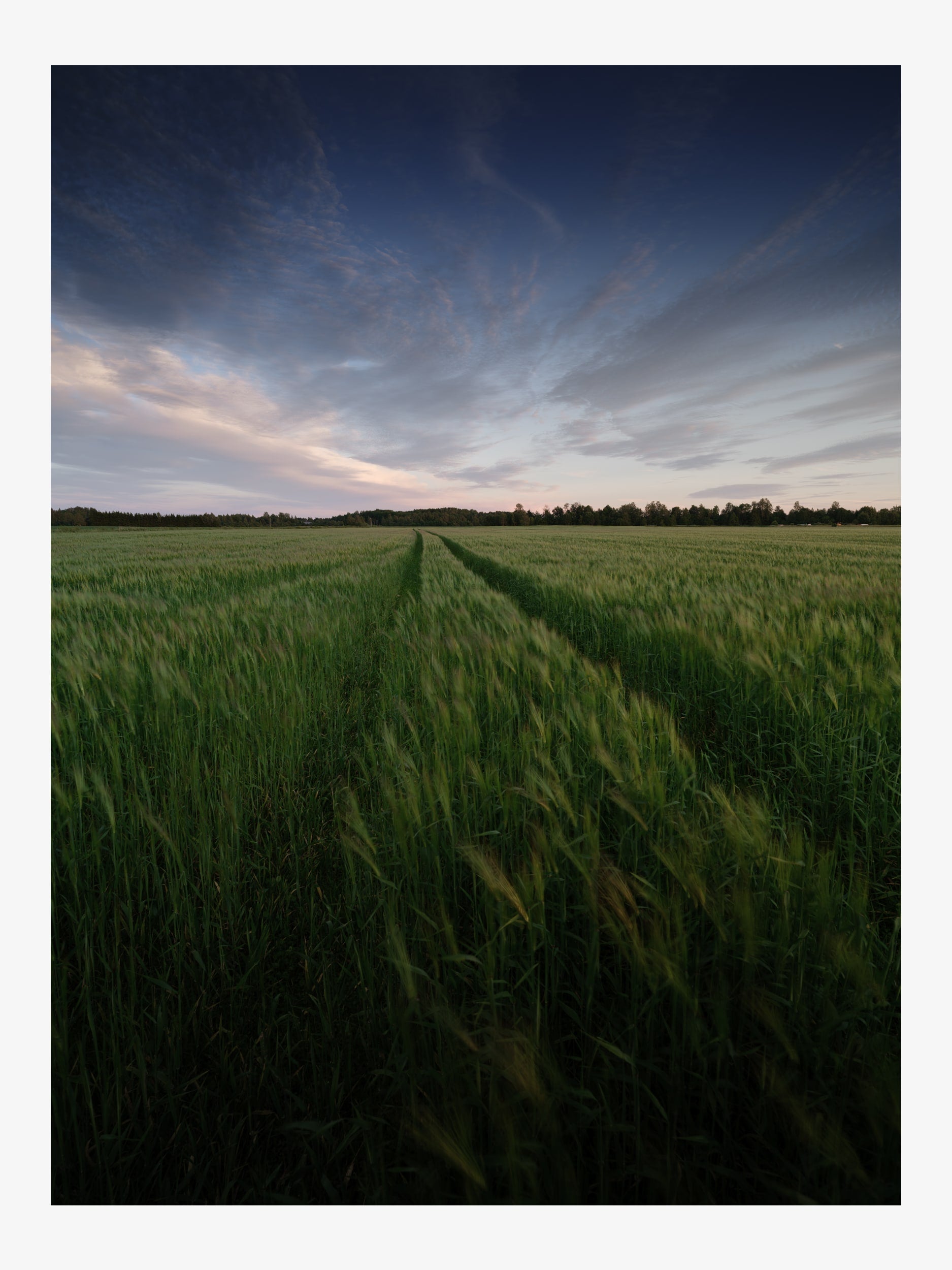 Green Field with Sunset Sky and Pathway – Landscape Fine Art Print
