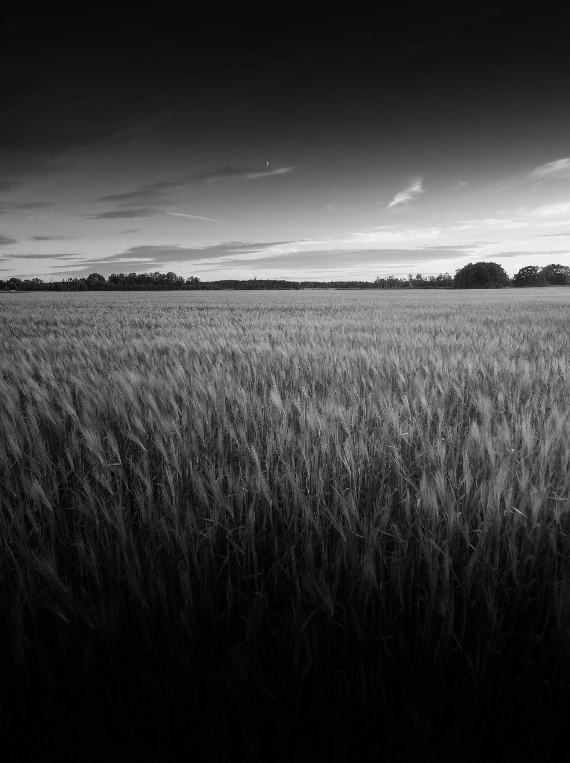 Moonlit Evening over the Field – Black and White Landscape Fine Art Print