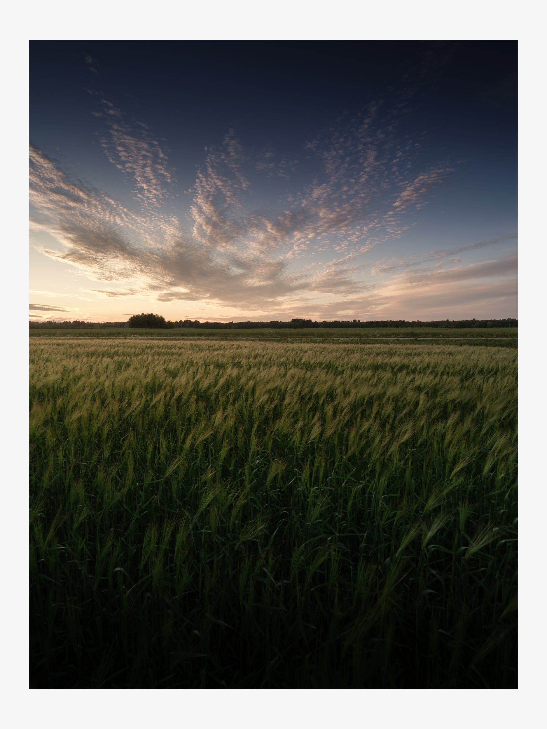 Sunset Sky over Green Field – Inspiring Landscape Fine Art Print