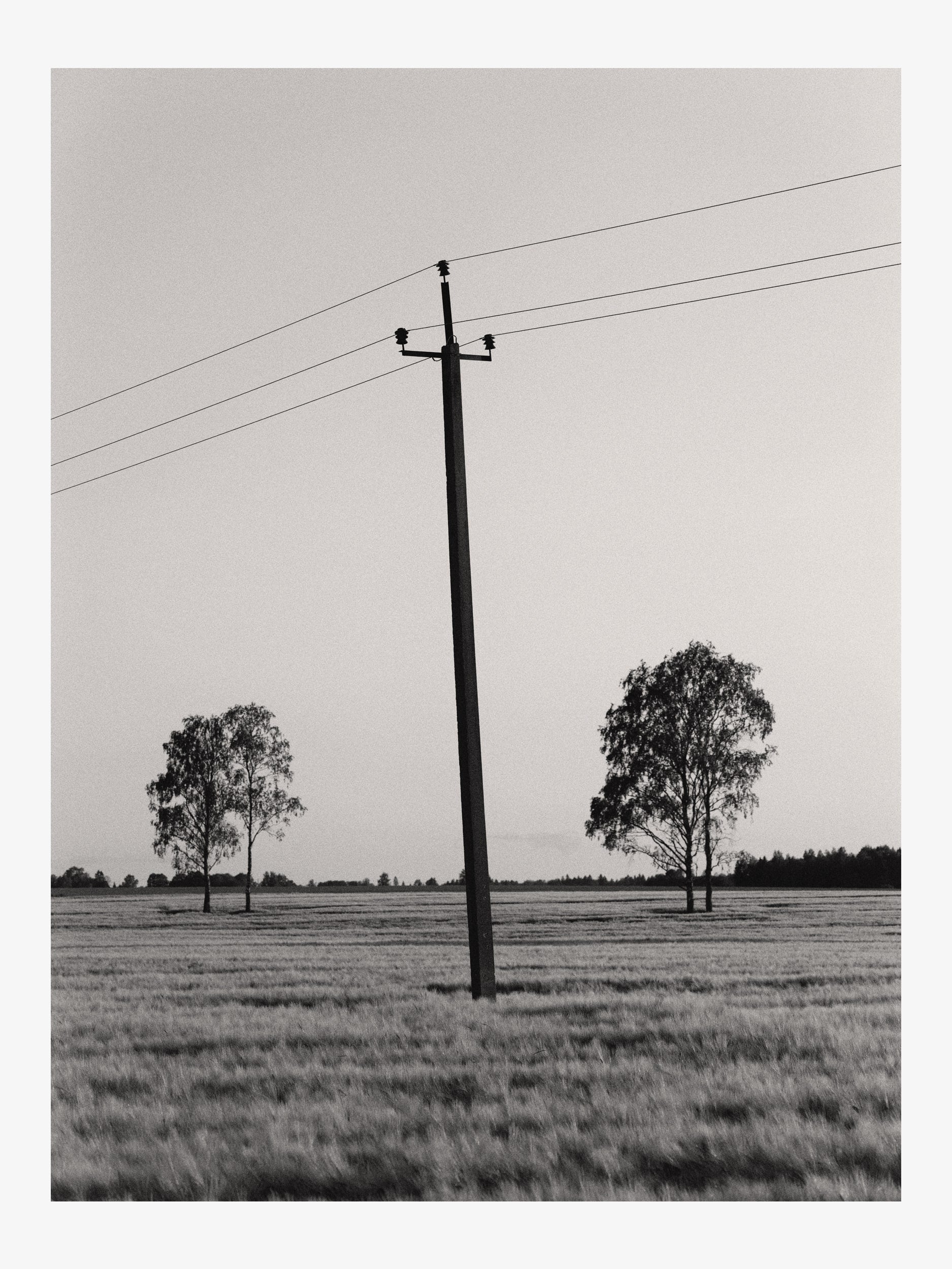 Trees and Power Pole in the Field – Symbolic Black and White Fine Art Print