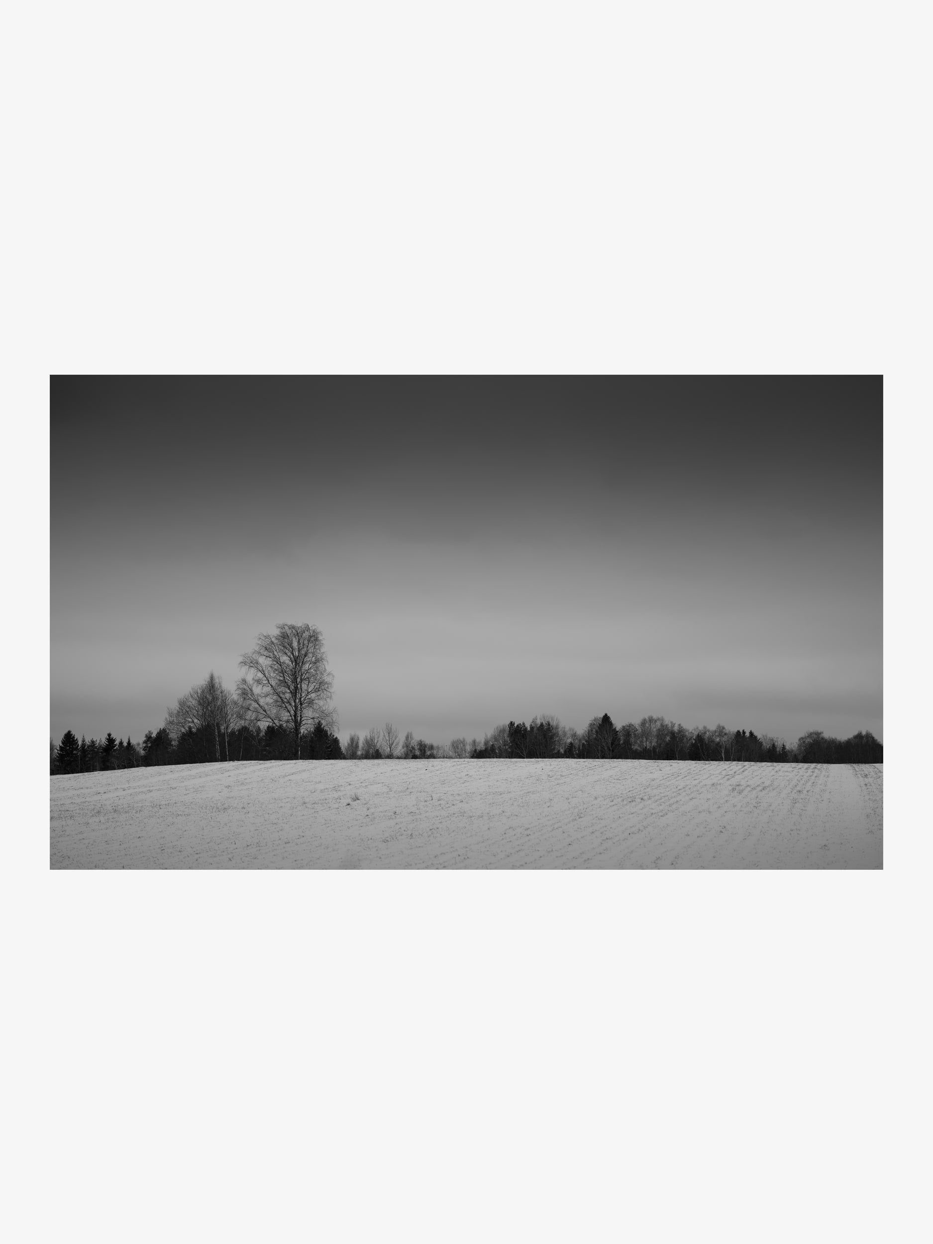 Winter Field with Trees – Black and White Minimalist Fine Art Print