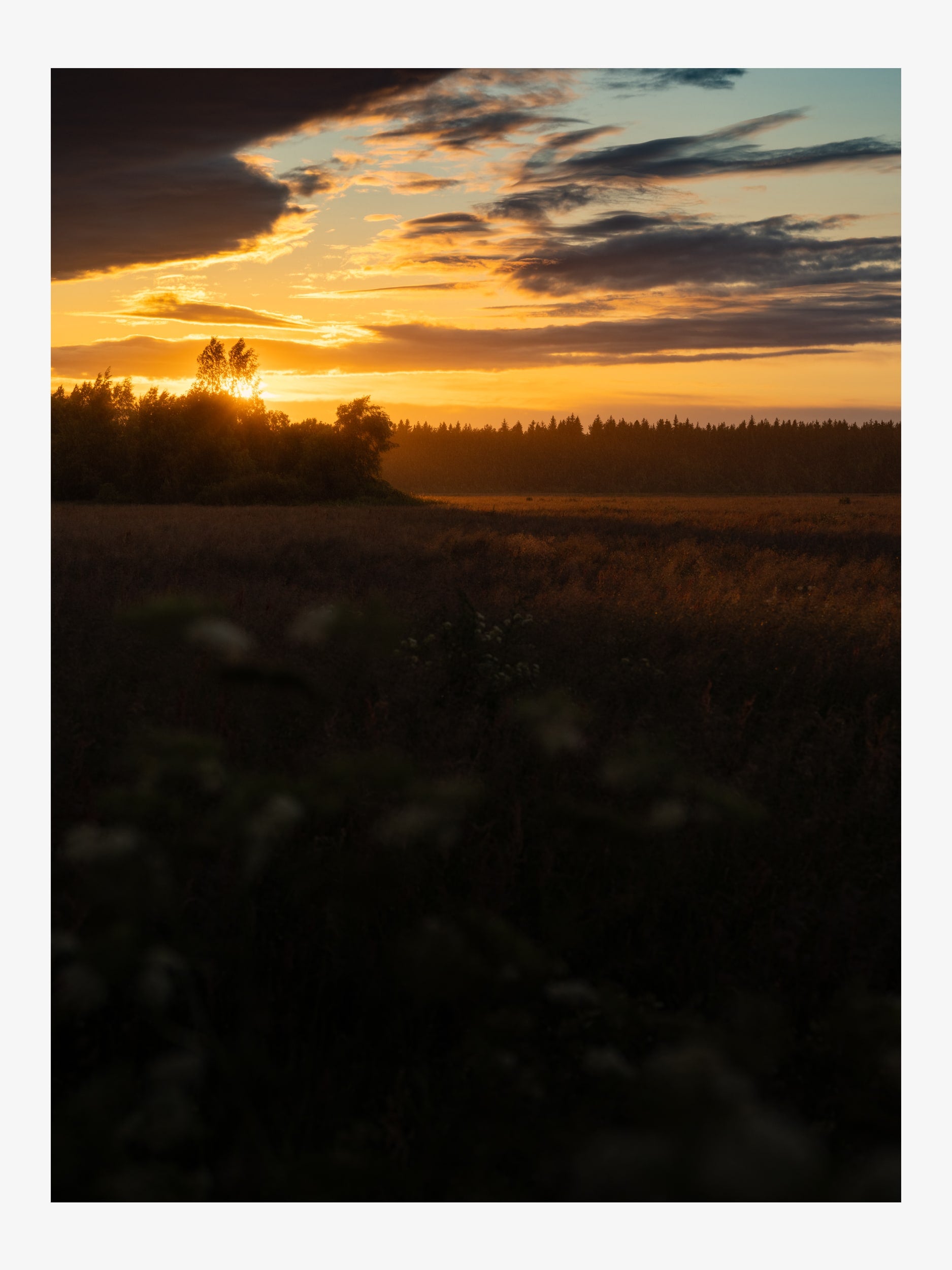 Sunset over Field and Trees – Warm Landscape Fine Art Print