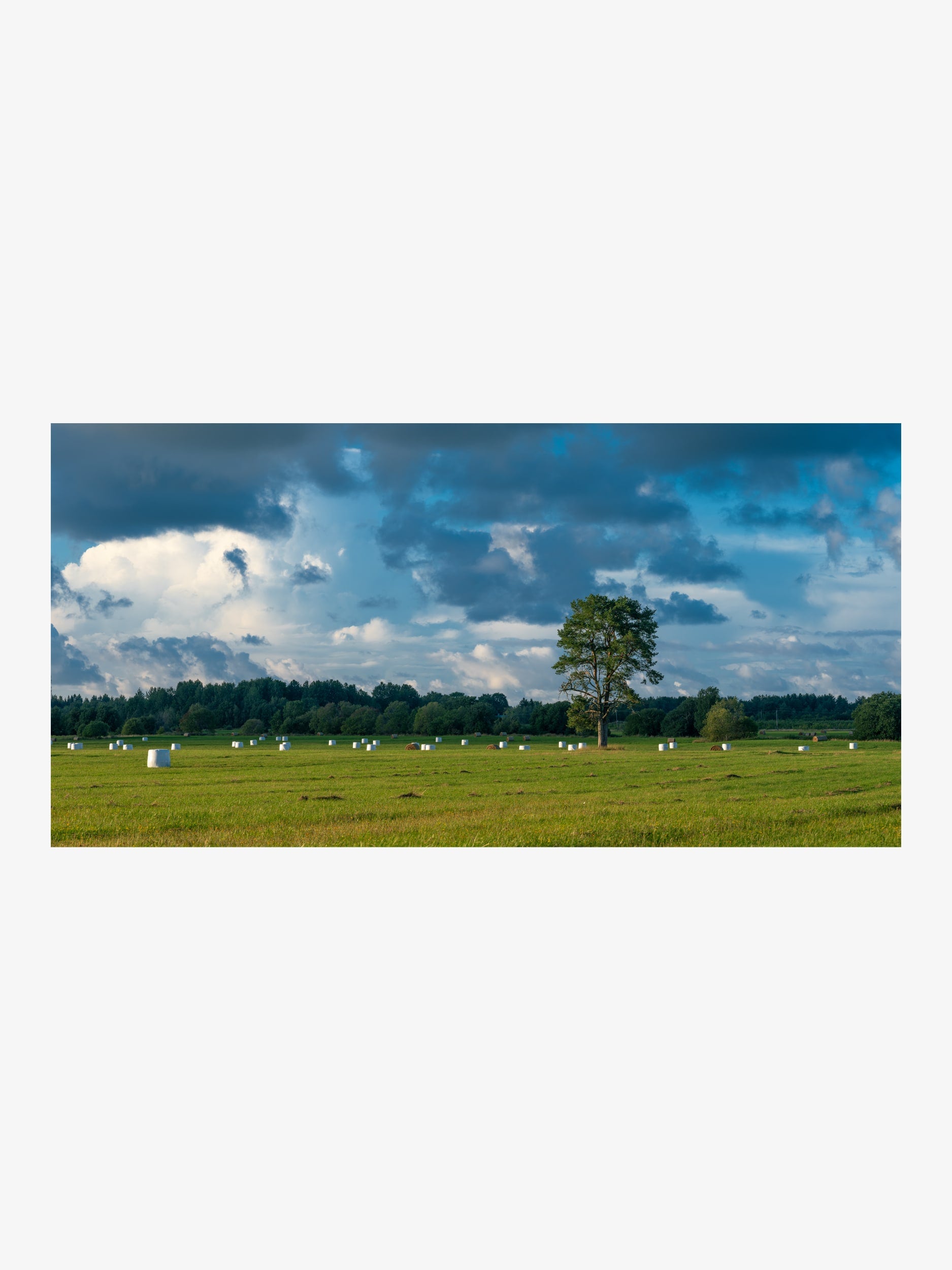 Tree on a Green Field with Hay Bales – Landscape Fine Art Print