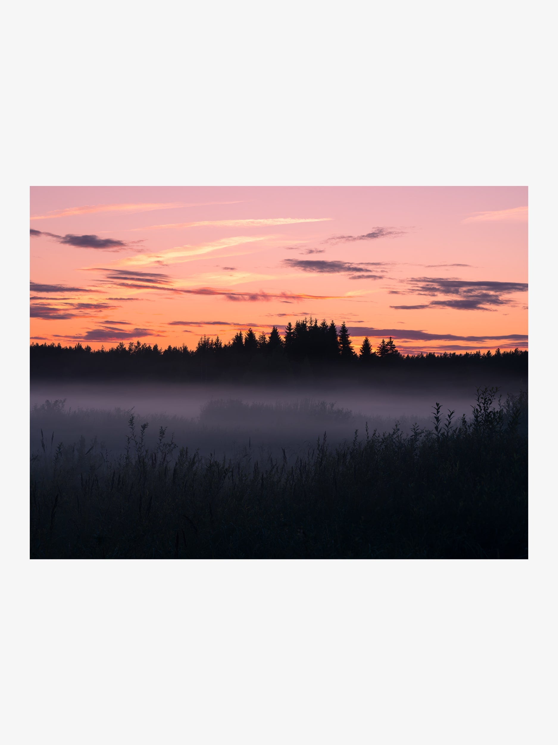 Misty Field and Forest at Sunset – Landscape Fine Art Print