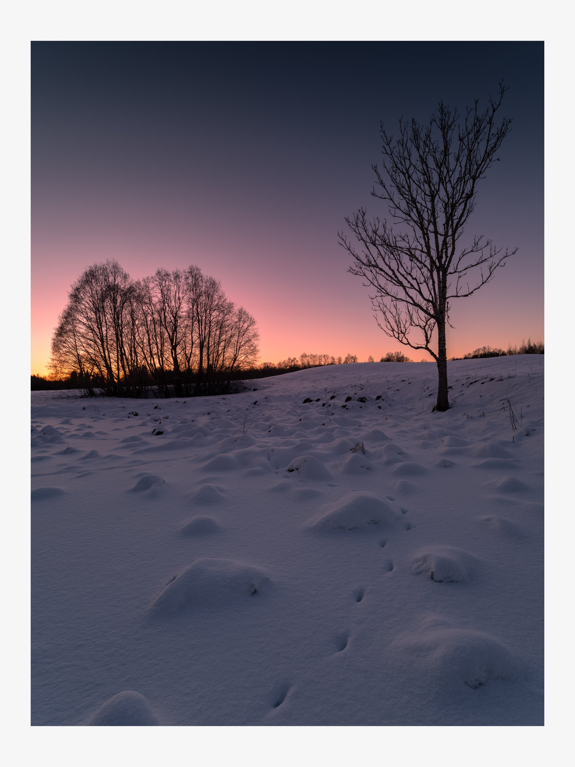 Winter Sunset Field – Nordic Landscape Fine Art Print