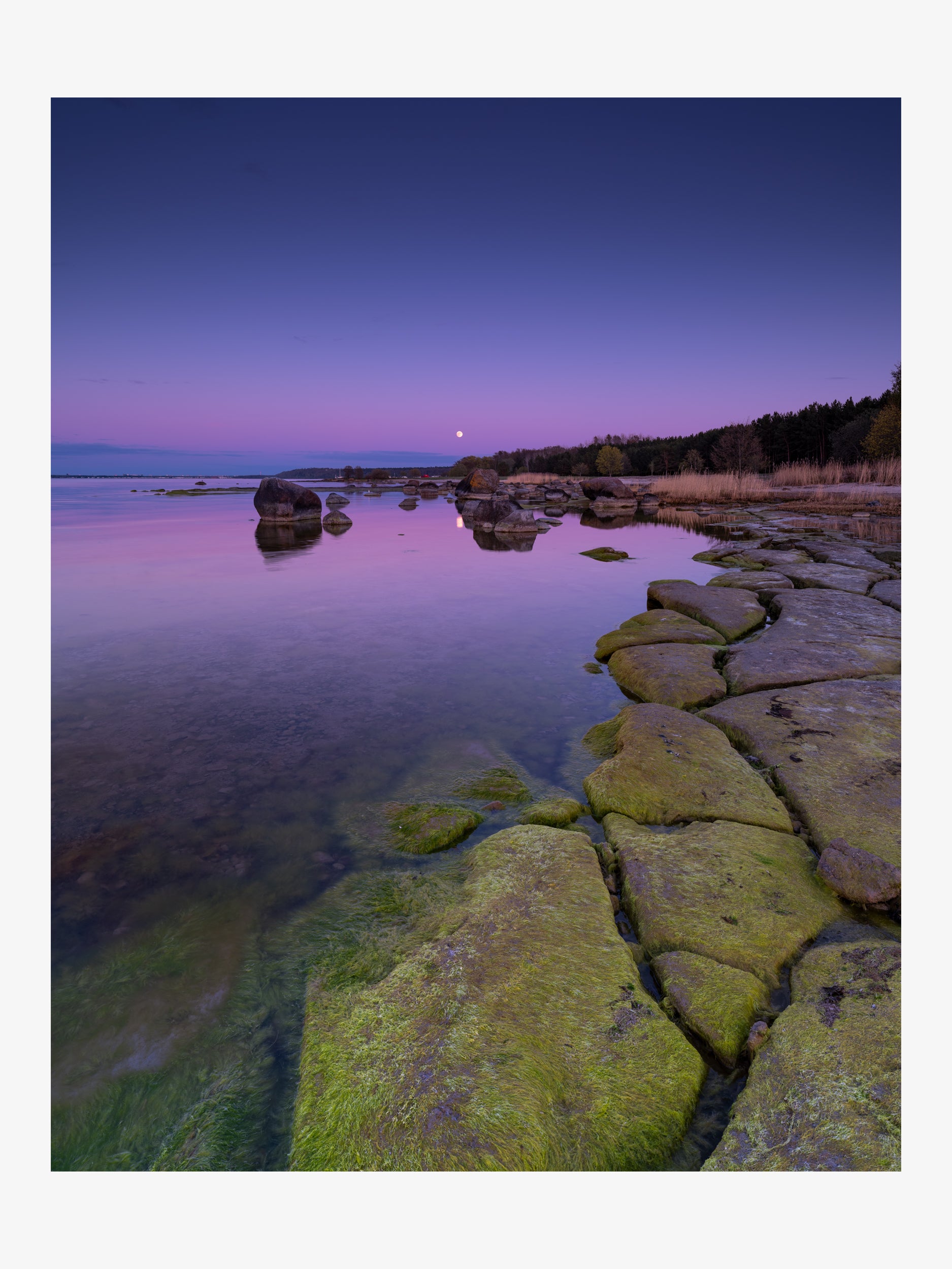 Moonlit Evening by the Baltic – Purple and Green Seascape Fine Art Print