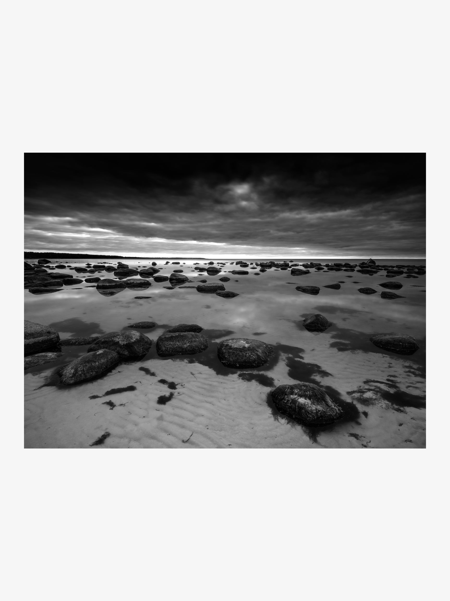Rocky Coast in Black and White Fine Art Print