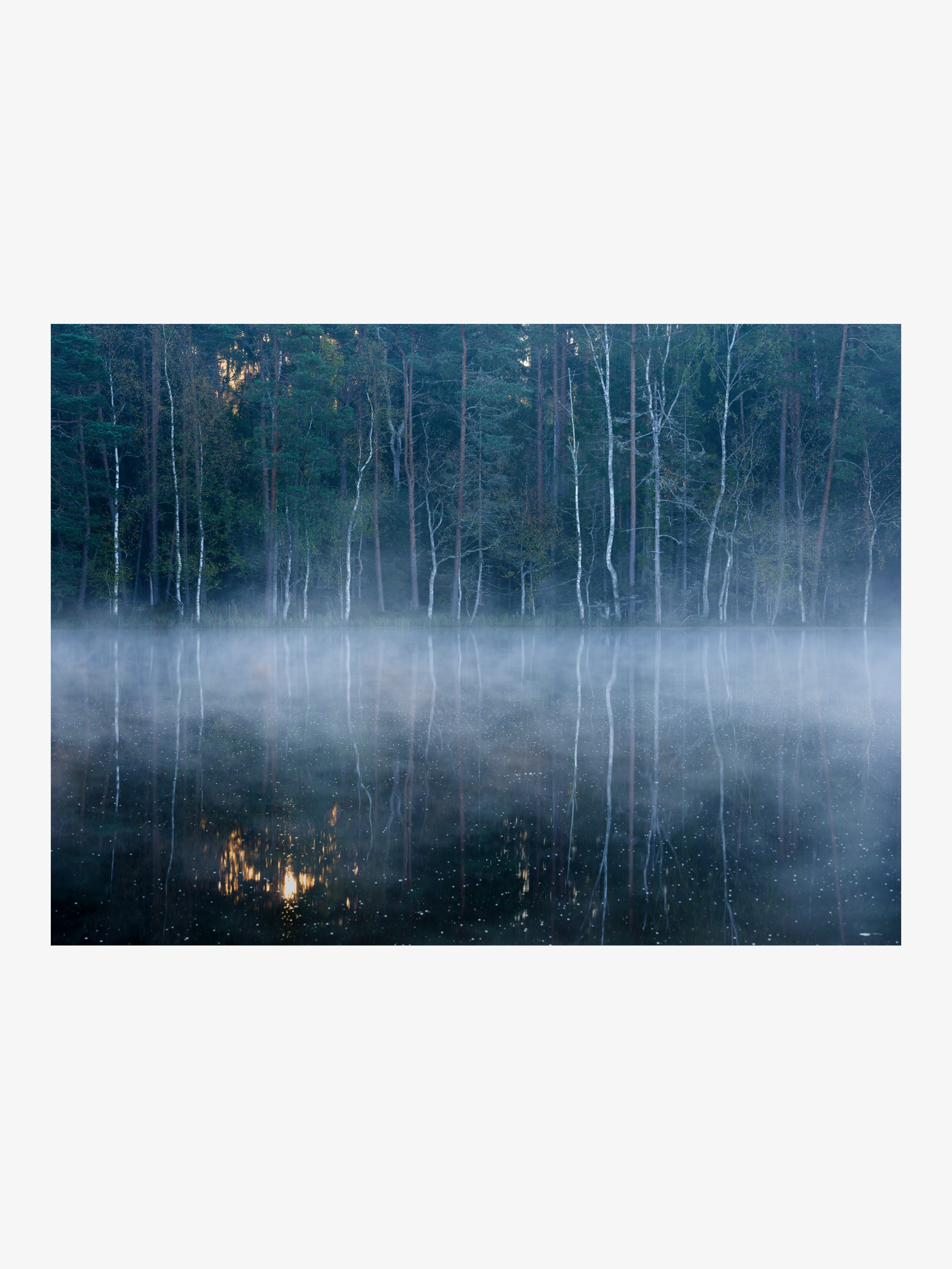 Misty Lake with Birch Trees Wall Art Print