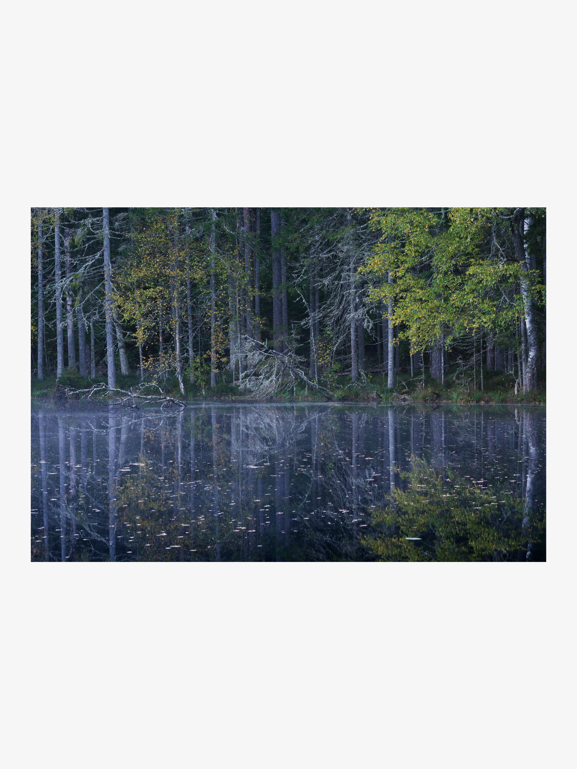 Autumn Forest Reflections in a Quiet Lake Wall Art Print
