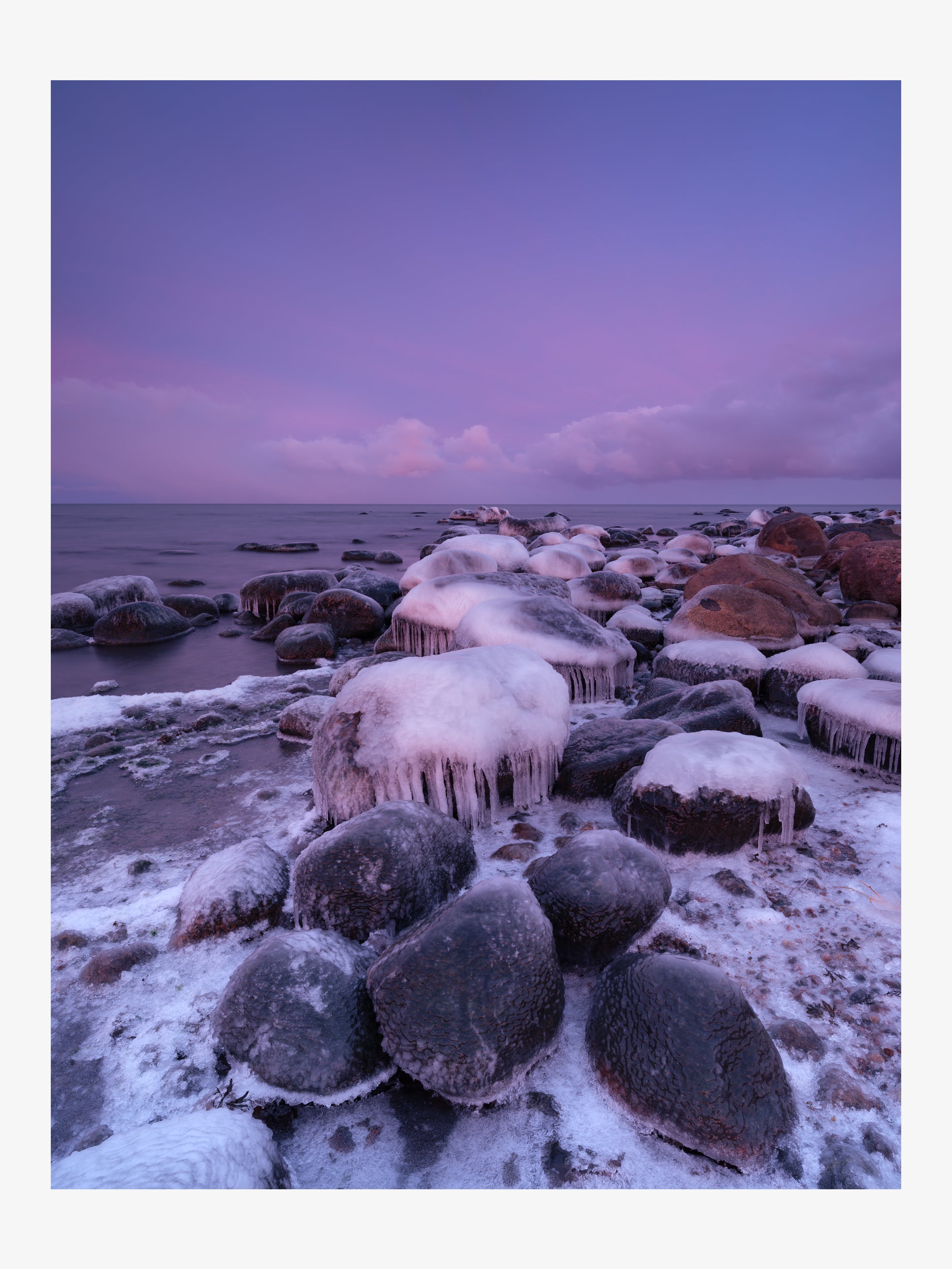 Winter Seashore in Purple Tones