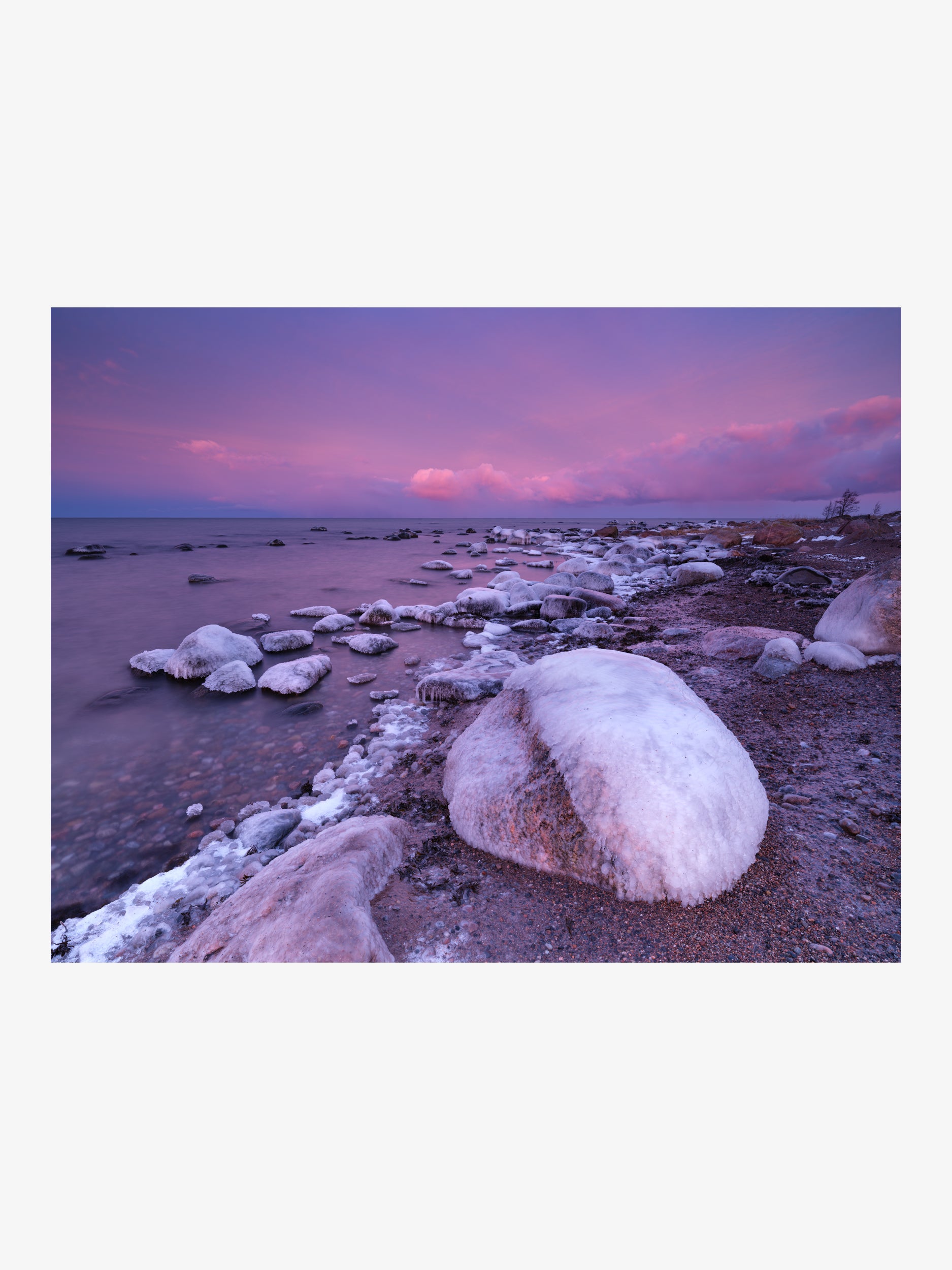 Ice-Covered Boulders on a Shore Under a Vivid Pink Twilight Sky